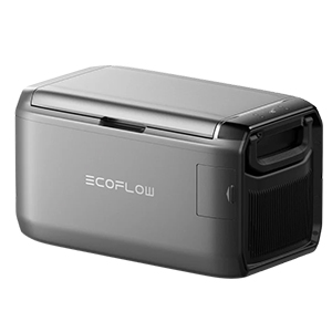 Умные устройства EcoFlow